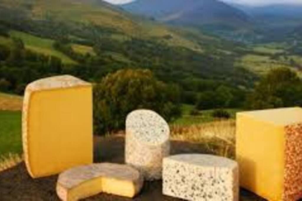 Joli A Murat Proche Du Lioran Cantal Apartment