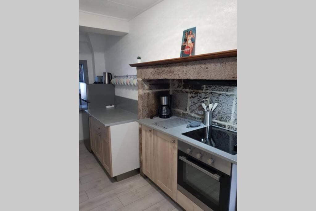 Apartment Joli A Murat Proche Du Lioran Cantal Murat (Cantal)