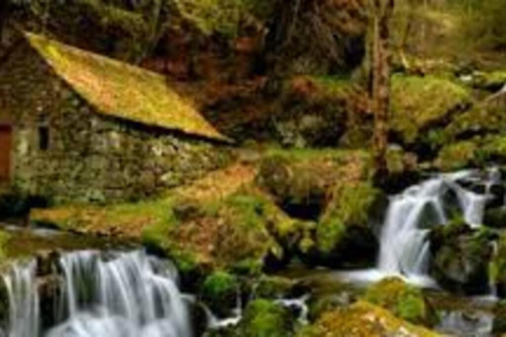 Joli A Murat Proche Du Lioran Cantal Apartment *
